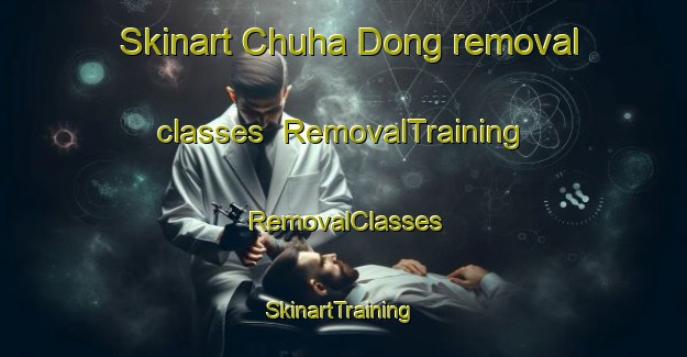 Skinart Chuha Dong removal classes | RemovalTraining | RemovalClasses | SkinartTraining-Korea