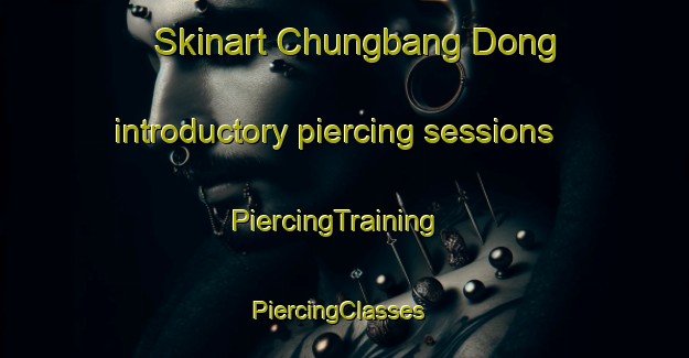 Skinart Chungbang Dong introductory piercing sessions | PiercingTraining | PiercingClasses | SkinartTraining-Korea