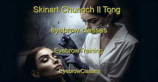 Skinart Chungch Il Tong eyebrow classes | EyebrowTraining | EyebrowClasses | SkinartTraining-Korea