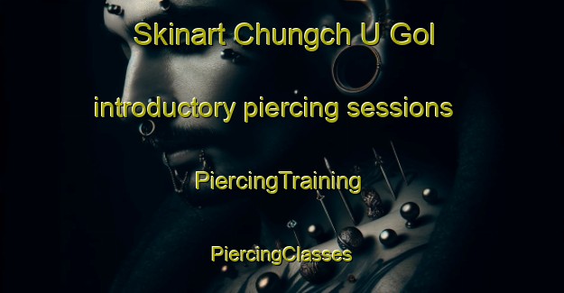 Skinart Chungch U Gol introductory piercing sessions | #PiercingTraining #PiercingClasses #SkinartTraining-Korea