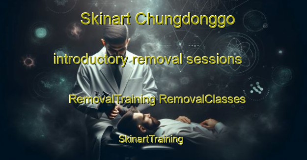 Skinart Chungdonggo introductory removal sessions | #RemovalTraining #RemovalClasses #SkinartTraining-Korea