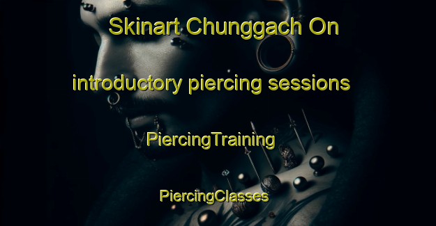 Skinart Chunggach On introductory piercing sessions | PiercingTraining | PiercingClasses | SkinartTraining-Korea