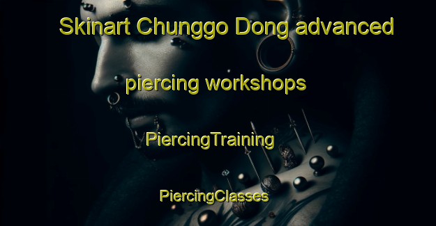 Skinart Chunggo Dong advanced piercing workshops | PiercingTraining | PiercingClasses | SkinartTraining-Korea