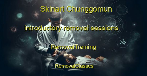 Skinart Chunggomun introductory removal sessions | RemovalTraining | RemovalClasses | SkinartTraining-Korea