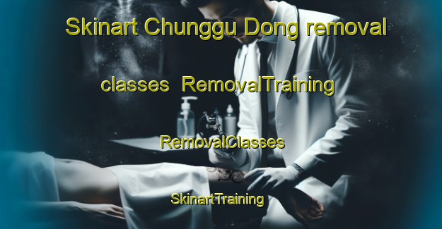Skinart Chunggu Dong removal classes | RemovalTraining | RemovalClasses | SkinartTraining-Korea