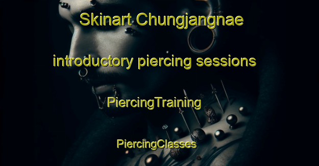 Skinart Chungjangnae introductory piercing sessions | PiercingTraining | PiercingClasses | SkinartTraining-Korea
