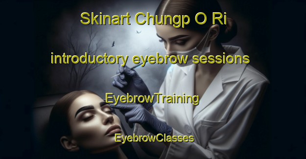 Skinart Chungp O Ri introductory eyebrow sessions | EyebrowTraining | EyebrowClasses | SkinartTraining-Korea
