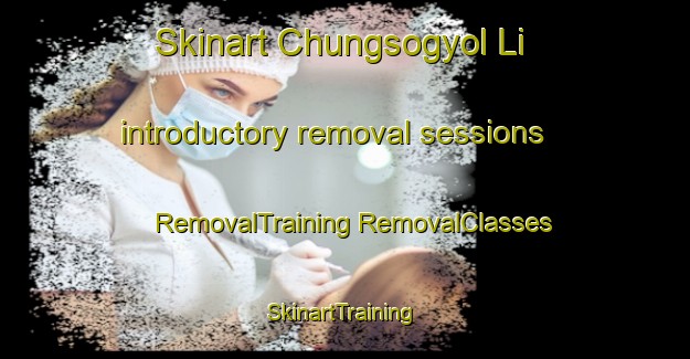 Skinart Chungsogyol Li introductory removal sessions | #RemovalTraining #RemovalClasses #SkinartTraining-Korea