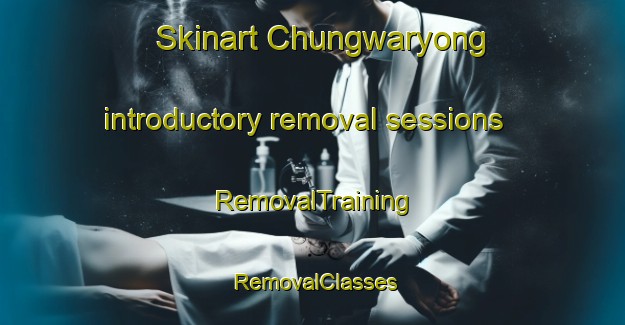 Skinart Chungwaryong introductory removal sessions | RemovalTraining | RemovalClasses | SkinartTraining-Korea