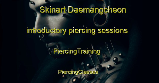 Skinart Daemangcheon introductory piercing sessions | PiercingTraining | PiercingClasses | SkinartTraining-Korea