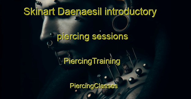 Skinart Daenaesil introductory piercing sessions | PiercingTraining | PiercingClasses | SkinartTraining-Korea
