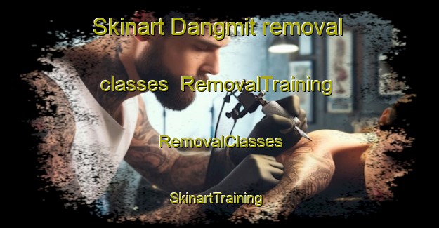 Skinart Dangmit removal classes | RemovalTraining | RemovalClasses | SkinartTraining-Korea