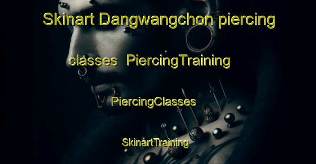 Skinart Dangwangchon piercing classes | PiercingTraining | PiercingClasses | SkinartTraining-Korea