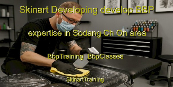 Skinart Developing develop BBP expertise in Sodang Ch On area | BbpTraining | BbpClasses | SkinartTraining-Korea