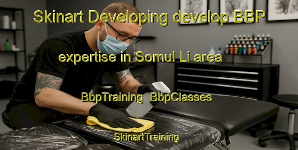 Skinart Developing develop BBP expertise in Somul Li area | BbpTraining | BbpClasses | SkinartTraining-Korea