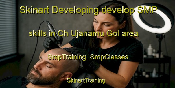 Skinart Developing develop SMP skills in Ch Ujanamu Gol area | SmpTraining | SmpClasses | SkinartTraining-Korea