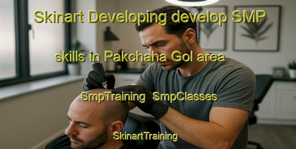 Skinart Developing develop SMP skills in Pakchaha Gol area | SmpTraining | SmpClasses | SkinartTraining-Korea