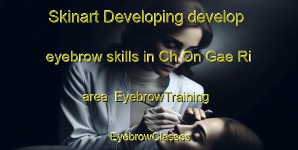 Skinart Developing develop eyebrow skills in Ch On Gae Ri area | EyebrowTraining | EyebrowClasses | SkinartTraining-Korea