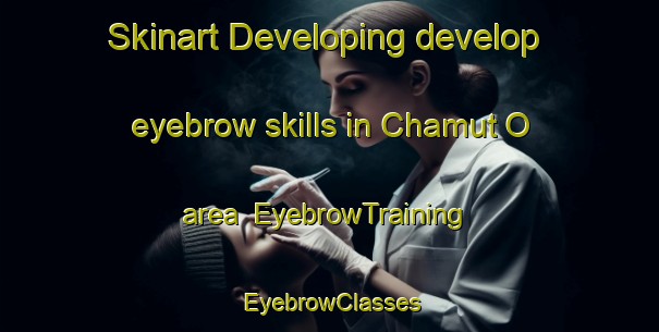 Skinart Developing develop eyebrow skills in Chamut O area | EyebrowTraining | EyebrowClasses | SkinartTraining-Korea