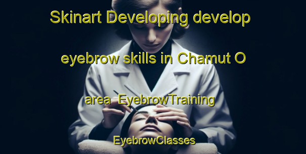 Skinart Developing develop eyebrow skills in Chamut O area | EyebrowTraining | EyebrowClasses | SkinartTraining-Korea
