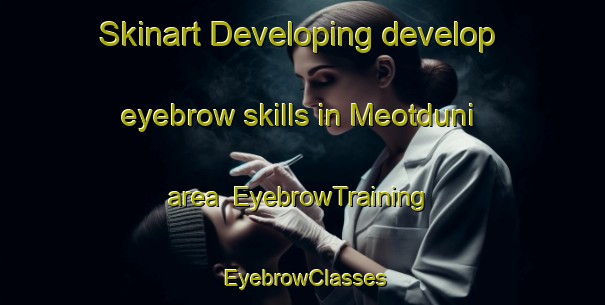 Skinart Developing develop eyebrow skills in Meotduni area | EyebrowTraining | EyebrowClasses | SkinartTraining-Korea