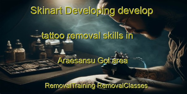 Skinart Developing develop tattoo removal skills in Araesansu Gol area | #RemovalTraining #RemovalClasses #SkinartTraining-Korea