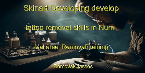 Skinart Developing develop tattoo removal skills in Num Mal area | RemovalTraining | RemovalClasses | SkinartTraining-Korea