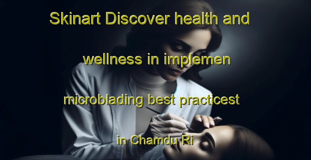 Skinart Discover health and wellness in implemen microblading best practicest in Chamdu Ri | MicrobladingTraining | MicrobladingClasses | SkinartTraining-Korea