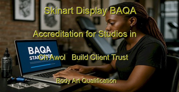 Skinart Display BAQA Accreditation for Studios in Ch Awol - Build Client Trust | Body Art Qualification Authority | BAQA-Korea