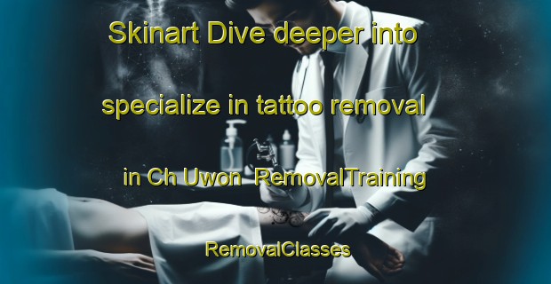 Skinart Dive deeper into specialize in tattoo removal in Ch Uwon | RemovalTraining | RemovalClasses | SkinartTraining-Korea