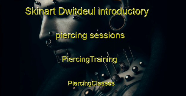 Skinart Dwitdeul introductory piercing sessions | PiercingTraining | PiercingClasses | SkinartTraining-Korea
