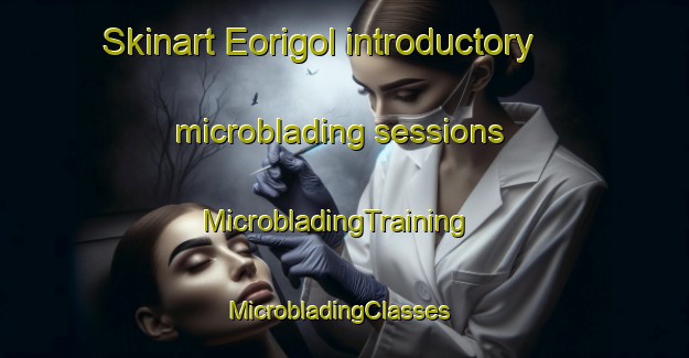 Skinart Eorigol introductory microblading sessions | MicrobladingTraining | MicrobladingClasses | SkinartTraining-Korea