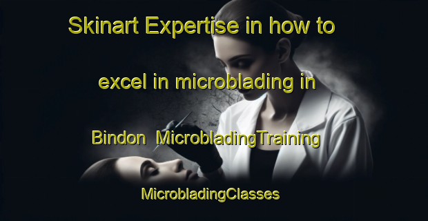 Skinart Expertise in how to excel in microblading in Bindon | MicrobladingTraining | MicrobladingClasses | SkinartTraining-Korea