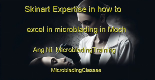 Skinart Expertise in how to excel in microblading in Moch Ang Ni | MicrobladingTraining | MicrobladingClasses | SkinartTraining-Korea