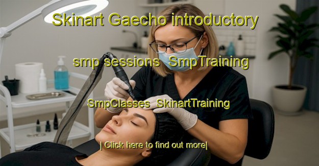 Skinart Gaecho introductory smp sessions | SmpTraining | SmpClasses | SkinartTraining-Korea