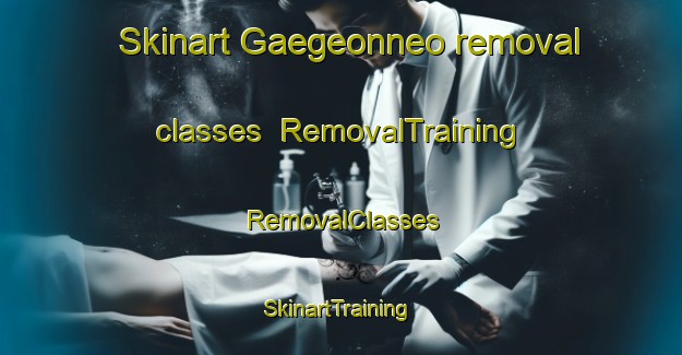Skinart Gaegeonneo removal classes | RemovalTraining | RemovalClasses | SkinartTraining-Korea