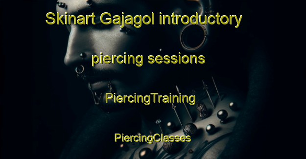 Skinart Gajagol introductory piercing sessions | #PiercingTraining #PiercingClasses #SkinartTraining-Korea