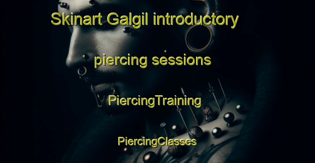 Skinart Galgil introductory piercing sessions | #PiercingTraining #PiercingClasses #SkinartTraining-Korea