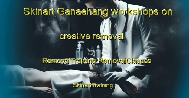 Skinart Ganaehang workshops on creative removal | #RemovalTraining #RemovalClasses #SkinartTraining-Korea