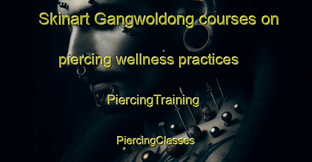 Skinart Gangwoldong courses on piercing wellness practices | #PiercingTraining #PiercingClasses #SkinartTraining-Korea