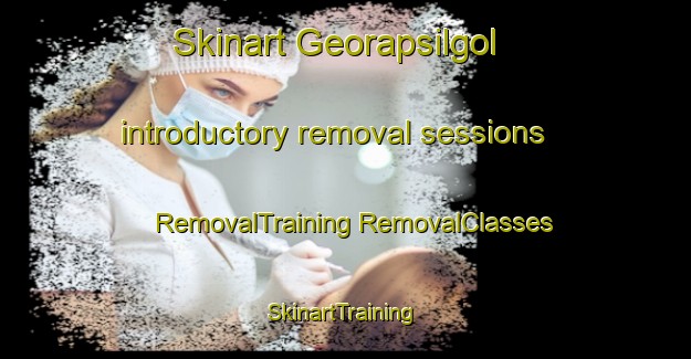 Skinart Georapsilgol introductory removal sessions | #RemovalTraining #RemovalClasses #SkinartTraining-Korea