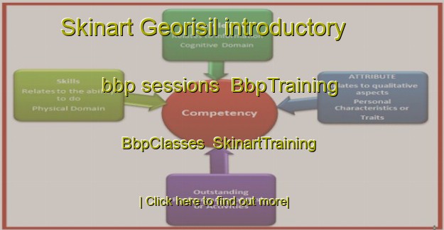 Skinart Georisil introductory bbp sessions | BbpTraining | BbpClasses | SkinartTraining-Korea