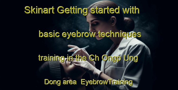 Skinart Getting started with basic eyebrow techniques training in the Ch Ongp Ung Dong area | EyebrowTraining | EyebrowClasses | SkinartTraining-Korea