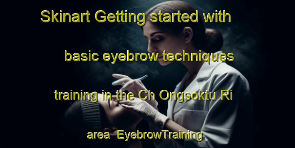Skinart Getting started with basic eyebrow techniques training in the Ch Ongsoktu Ri area | EyebrowTraining | EyebrowClasses | SkinartTraining-Korea