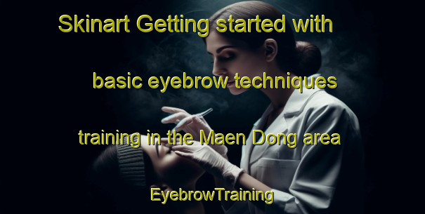 Skinart Getting started with basic eyebrow techniques training in the Maen Dong area | EyebrowTraining | EyebrowClasses | SkinartTraining-Korea