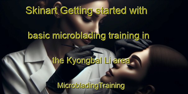 Skinart Getting started with basic microblading training in the Kyongbal Li area | MicrobladingTraining | MicrobladingClasses | SkinartTraining-Korea