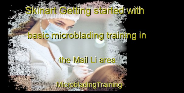 Skinart Getting started with basic microblading training in the Mail Li area | MicrobladingTraining | MicrobladingClasses | SkinartTraining-Korea