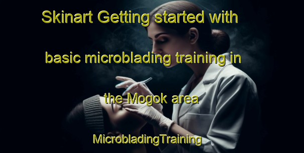 Skinart Getting started with basic microblading training in the Mogok area | MicrobladingTraining | MicrobladingClasses | SkinartTraining-Korea