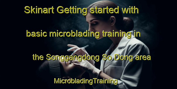 Skinart Getting started with basic microblading training in the Songgangdong So Dong area | MicrobladingTraining | MicrobladingClasses | SkinartTraining-Korea