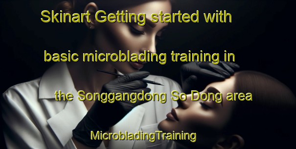 Skinart Getting started with basic microblading training in the Songgangdong So Dong area | MicrobladingTraining | MicrobladingClasses | SkinartTraining-Korea